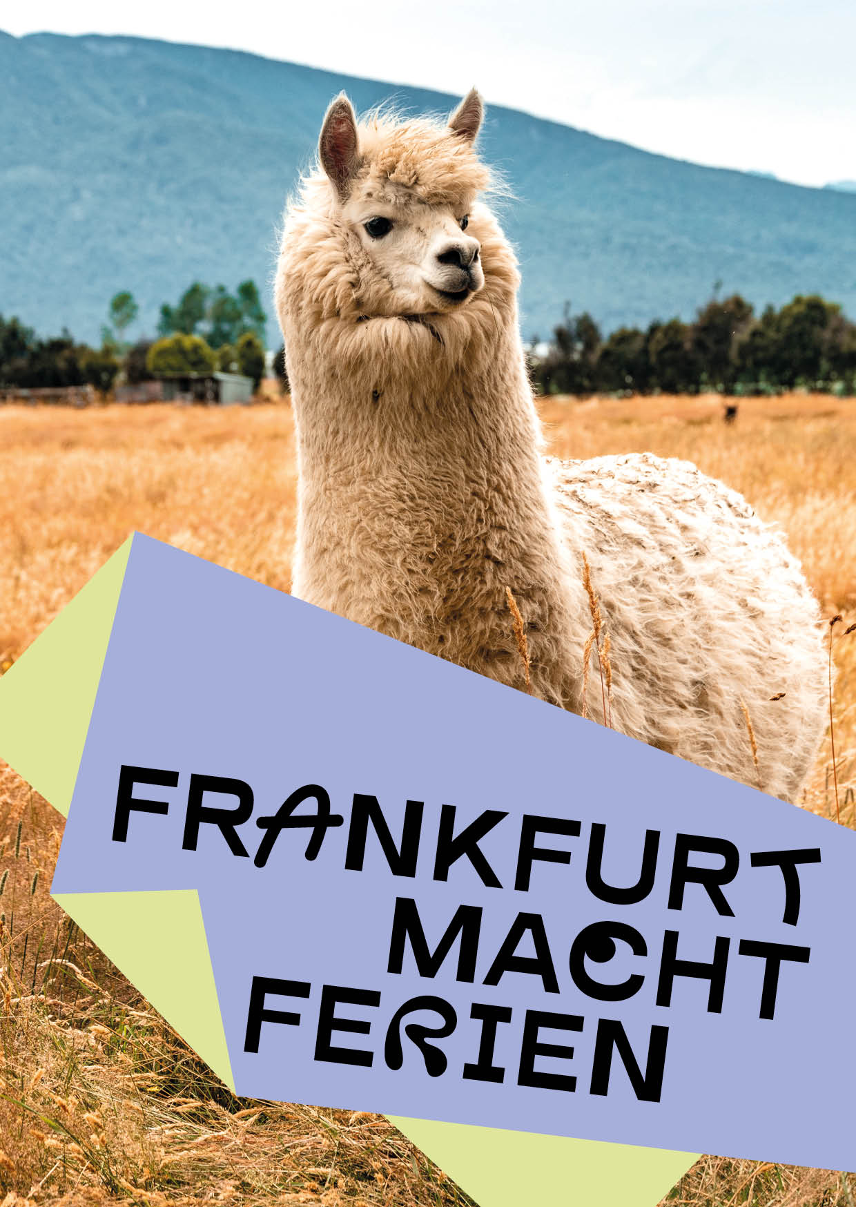 Ein flauschiges Lama steht in einem Feld, im Hintergund Baume und grünbewachsene Berge. Schriftzug: Frankfurt macht Ferien