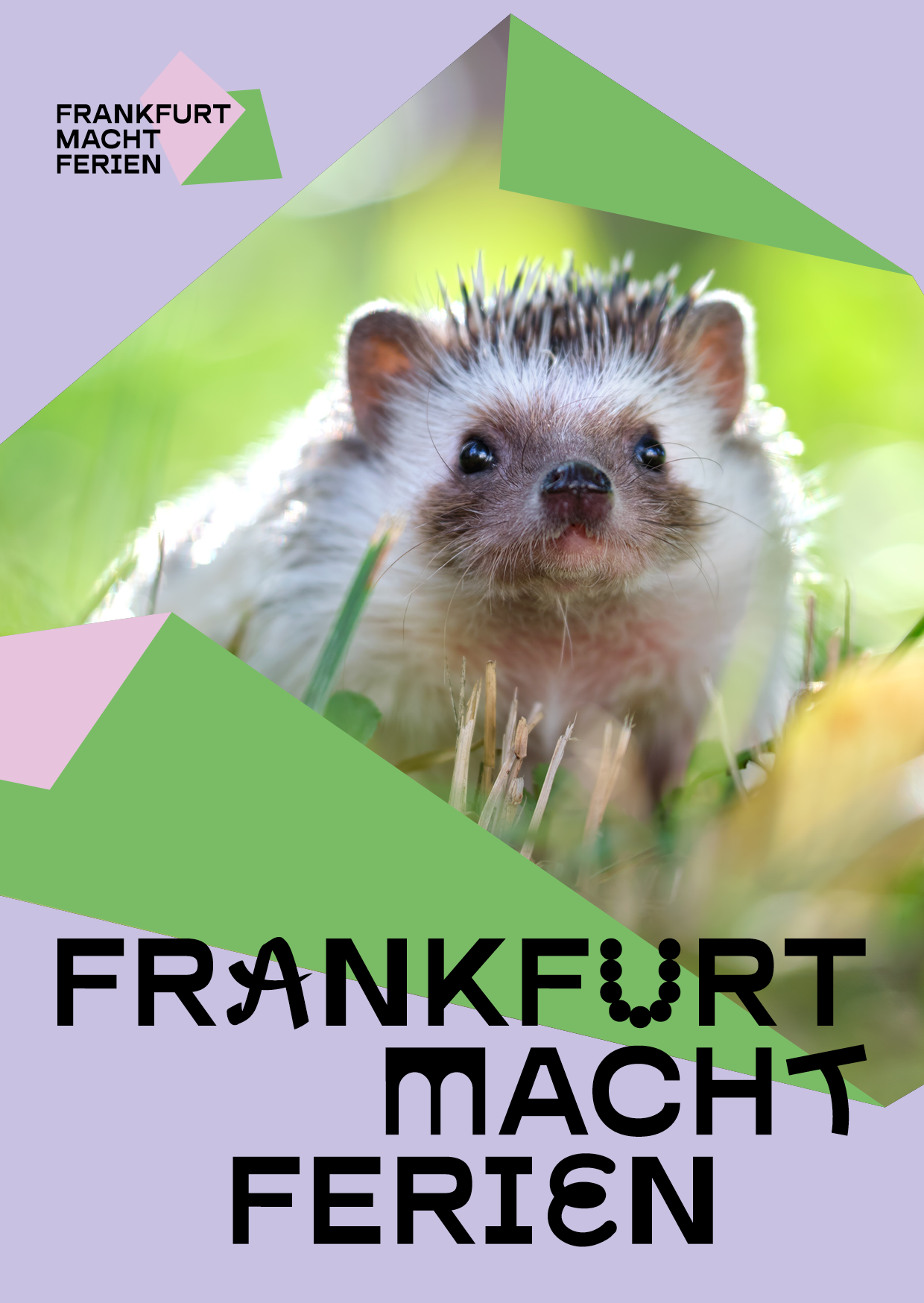 Postkarte mit der Aufschrift Frankfurt macht Ferien und folgendem Motiv: ein kleiner, niedlicher Igel sitzt in einer Wiese und guckt mit Knopfaugen in die Kamera. 